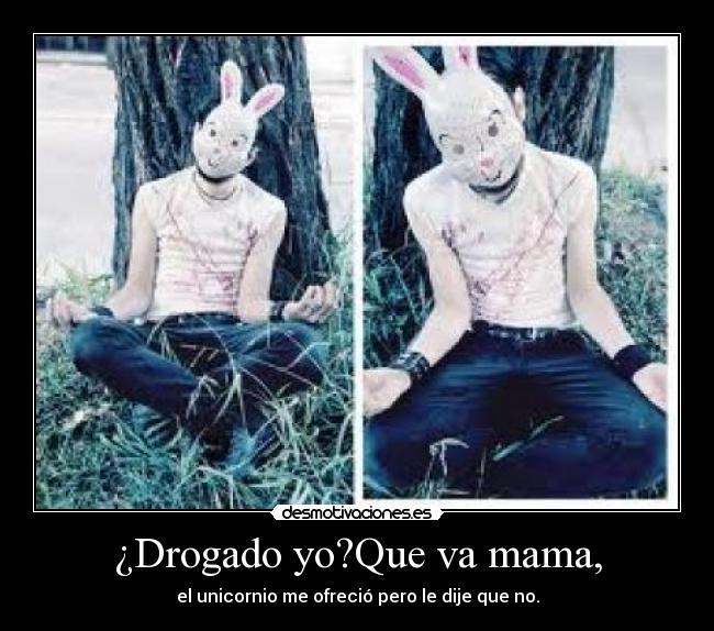 ¿Drogado yo?Que va mama, - el unicornio me ofreció pero le dije que no.