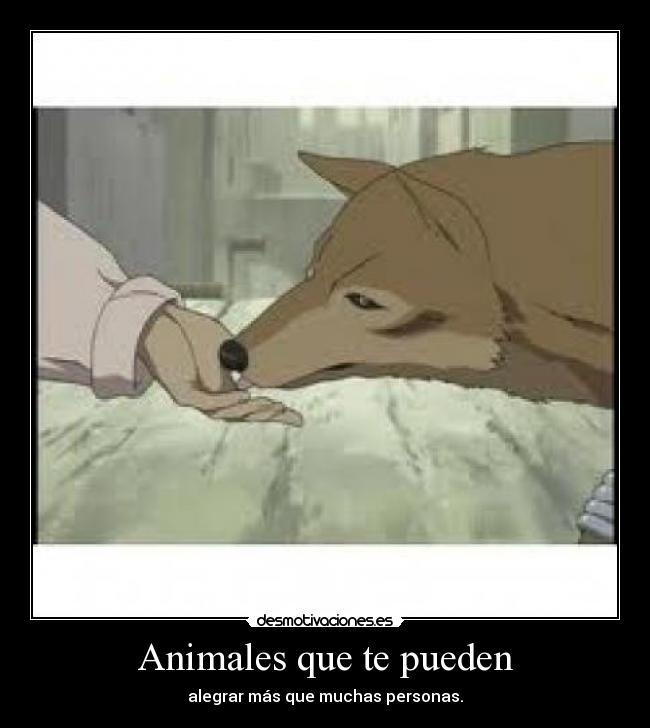 Animales que te pueden - alegrar más que muchas personas.