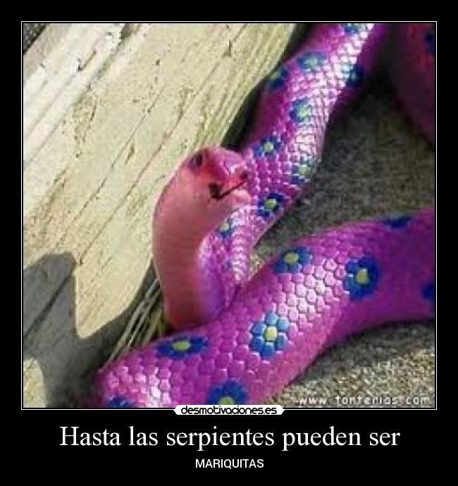 Hasta las serpientes pueden ser - MARIQUITAS
