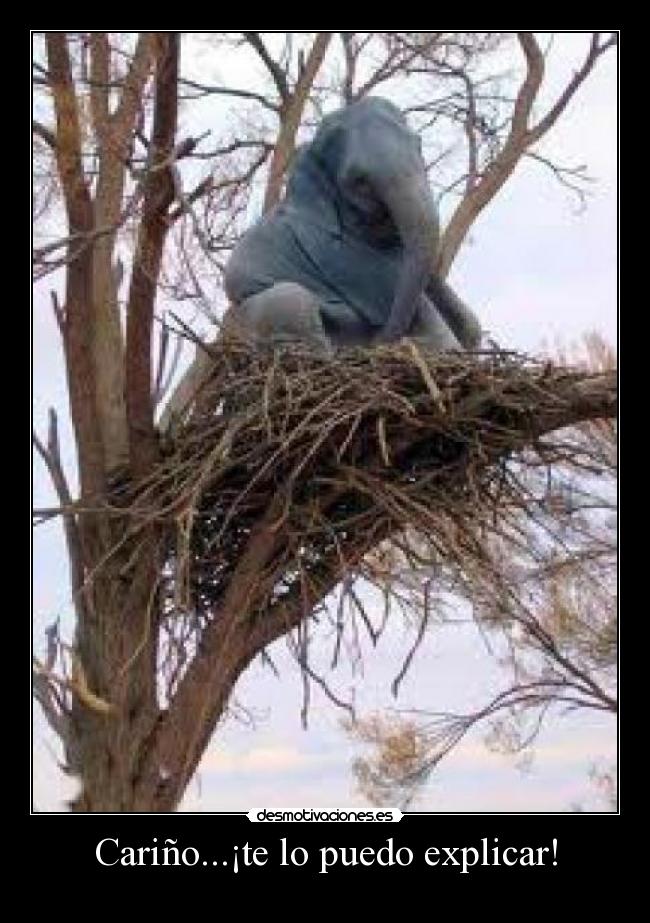 Cariño...¡te lo puedo explicar! -