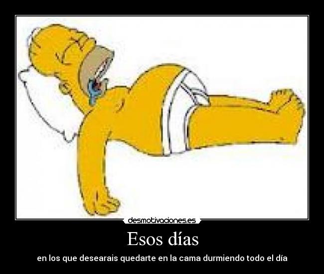 Esos días - en los que desearais quedarte en la cama durmiendo todo el día