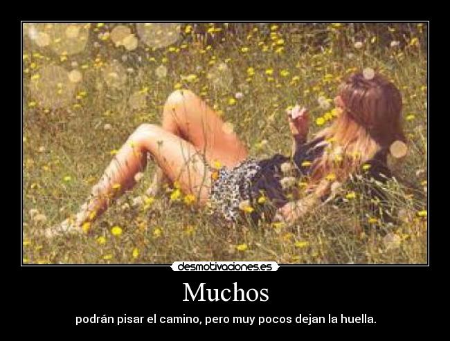 carteles vrd desmotivaciones