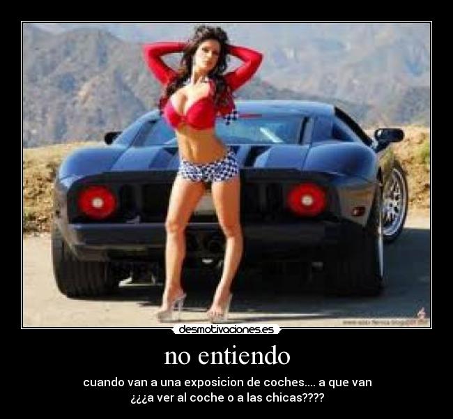 no entiendo - 
