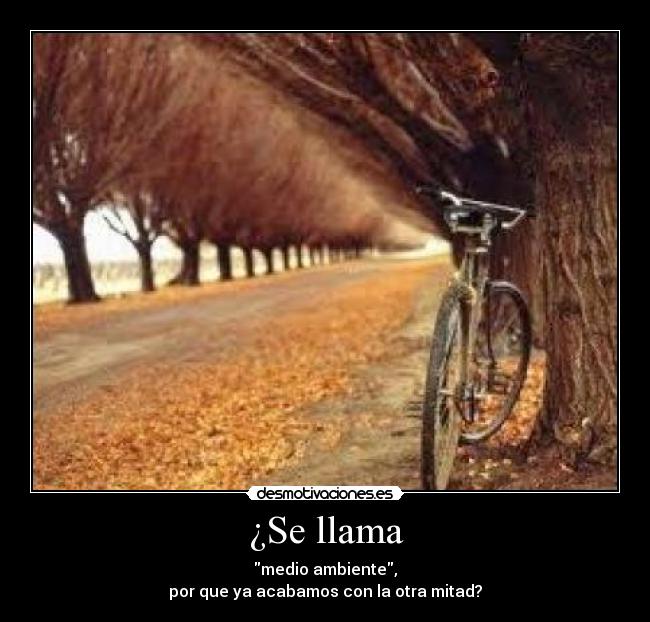 carteles ambiente desmotivaciones