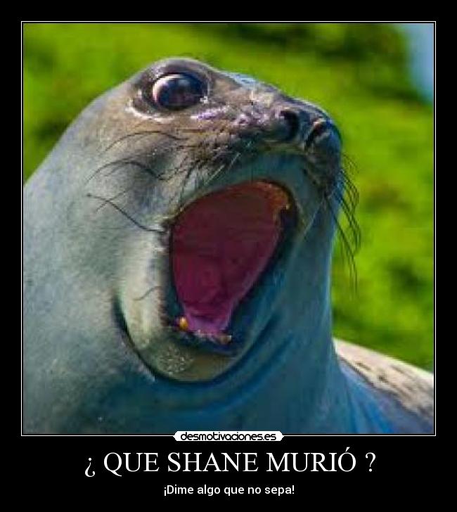 ¿ QUE SHANE MURIÓ ? -