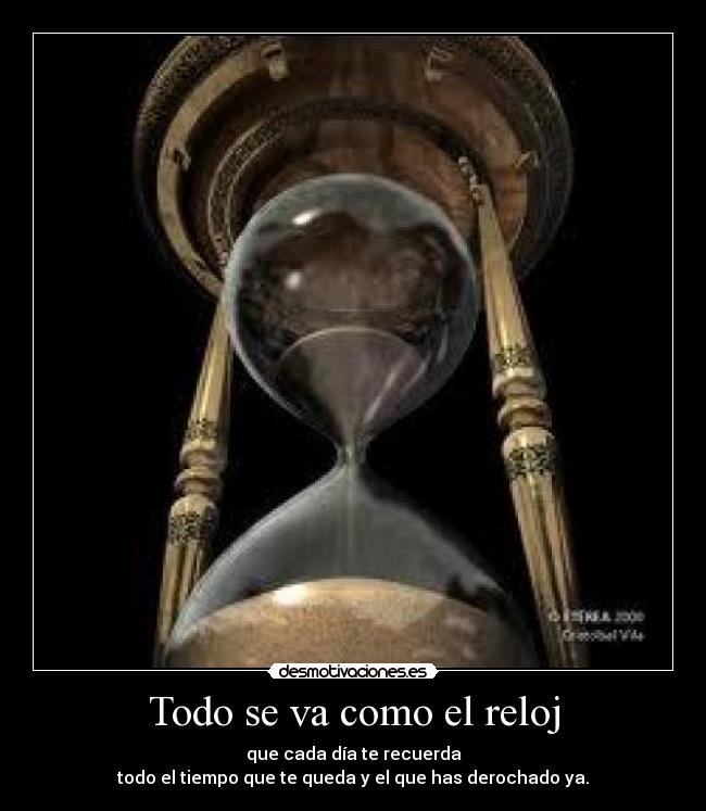 carteles she miedo desmotivaciones