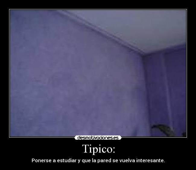 Tipico: - Ponerse a estudiar y que la pared se vuelva interesante.