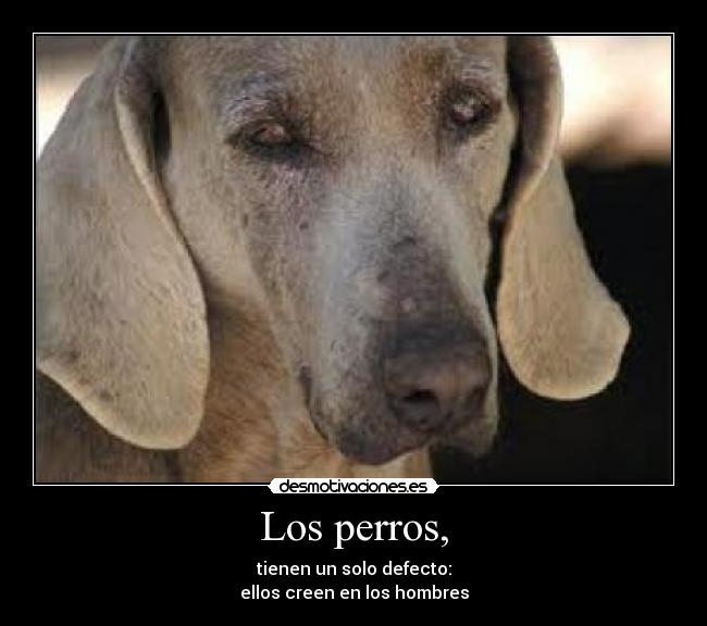 Los perros, -