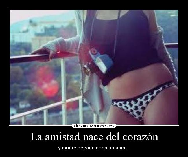 La amistad nace del corazón - 