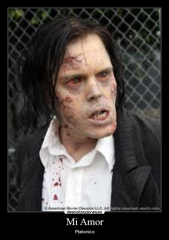 Mi Amor - 