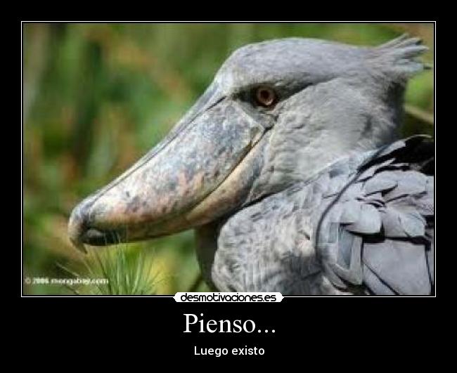 carteles edward duran desmotivaciones