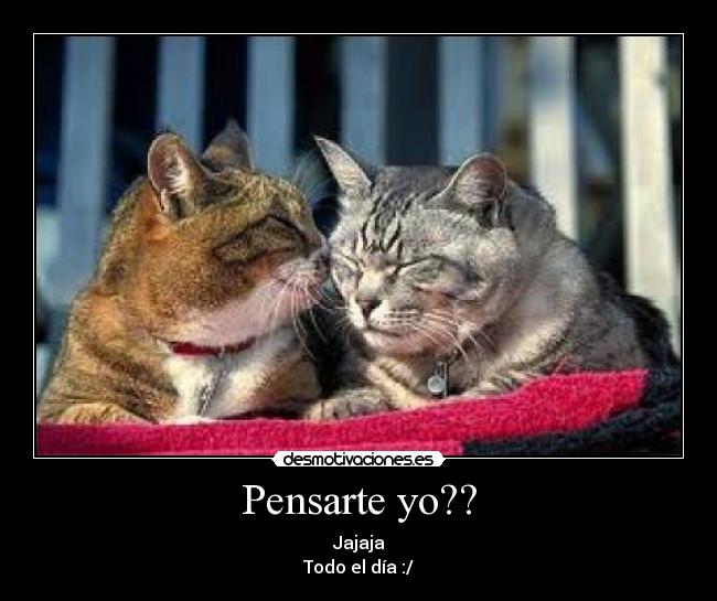 Pensarte yo?? -