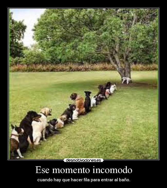 Ese momento incomodo - cuando hay que hacer fila para entrar al baño.