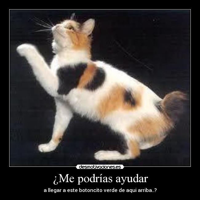 ¿Me podrías ayudar -