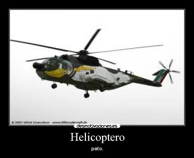 Helicoptero - pato.