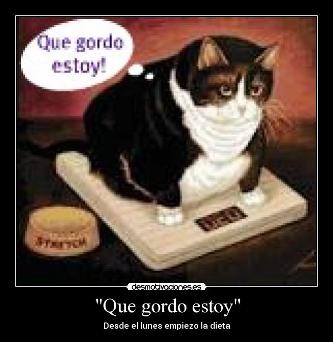 Que gordo estoy -