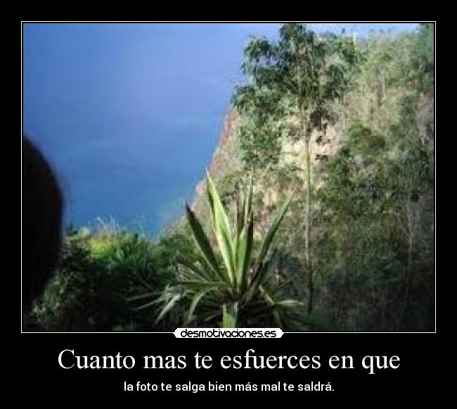 carteles hjuvoy desmotivaciones