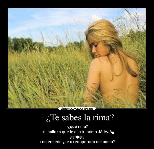 carteles pollazo desmotivaciones