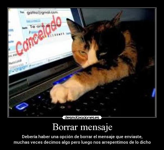 Borrar mensaje - Debería haber una opción de borrar el mensaje que enviaste,
muchas veces decimos algo pero luego nos arrepentimos de lo dicho