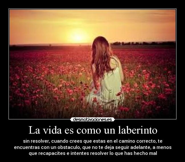 carteles vida vida laberinto desmotivaciones