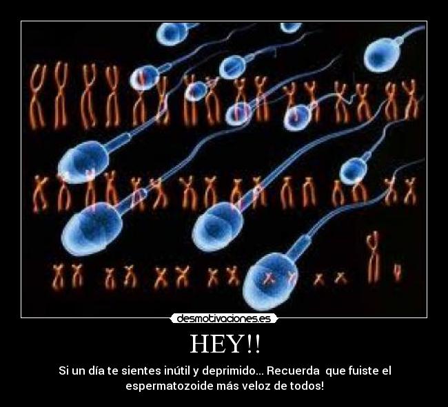 HEY!! -