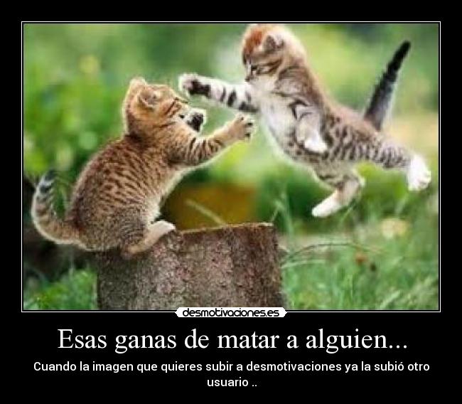 Esas ganas de matar a alguien... - Cuando la imagen que quieres subir a desmotivaciones ya la subió otro usuario ..