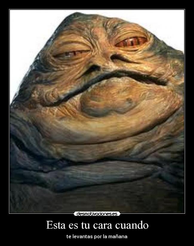 Esta es tu cara cuando - te levantas por la mañana