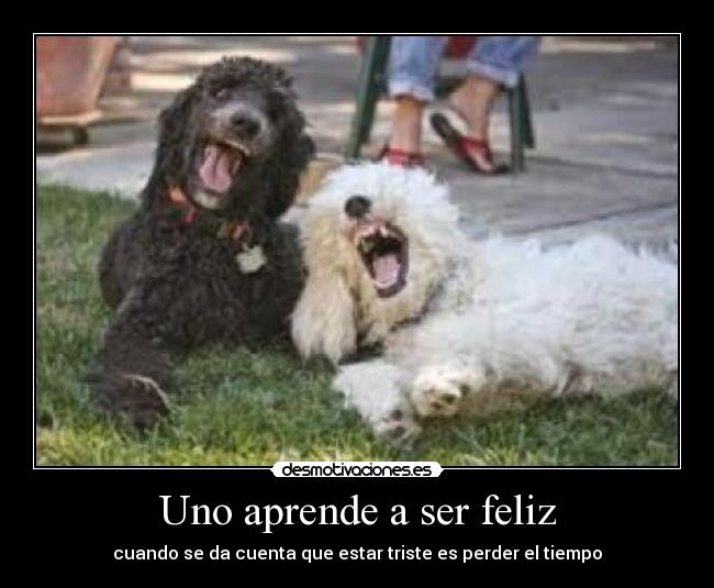 Uno aprende a ser feliz - 