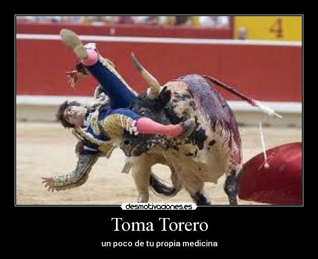 Toma Torero -