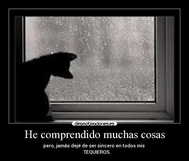 He comprendido muchas cosas - 