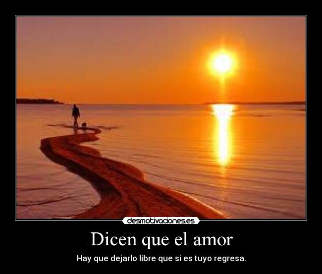 Dicen que el amor - Hay que dejarlo libre que si es tuyo regresa.