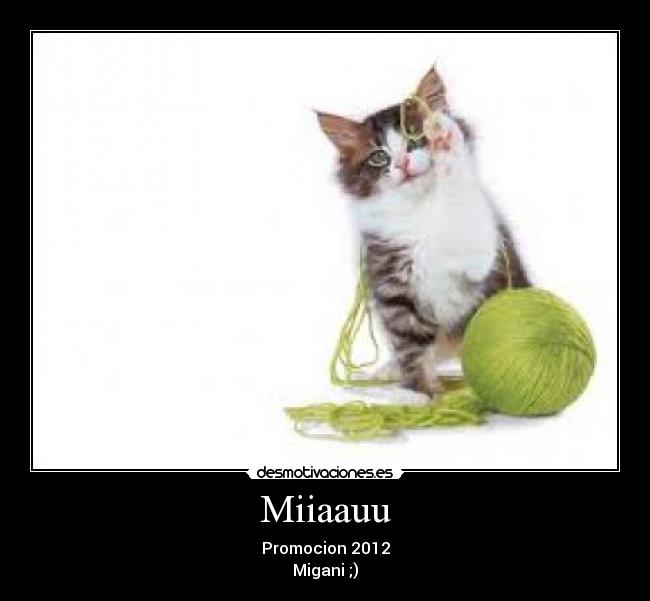 Miiaauu - Promocion 2012
Migani ;)