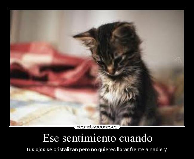 Ese sentimiento cuando - 
