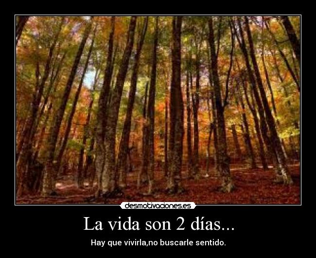 La vida son 2 días... - Hay que vivirla,no buscarle sentido.