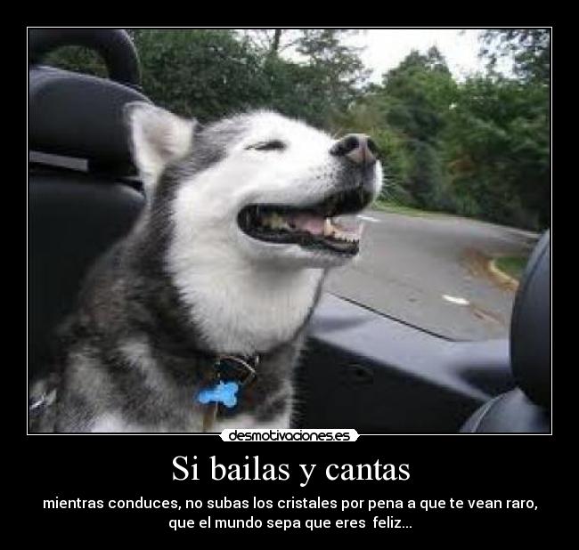Si bailas y cantas -