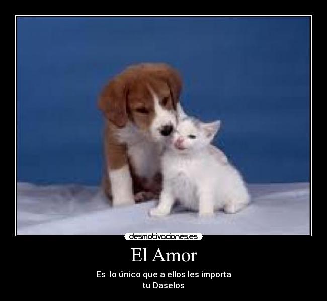 carteles amor paulyssd desmotivaciones