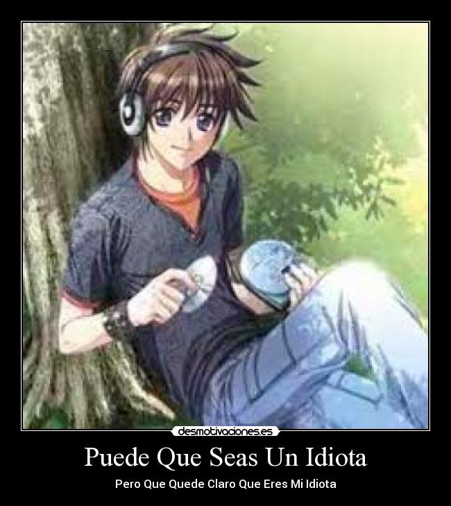 Puede Que Seas Un Idiota -