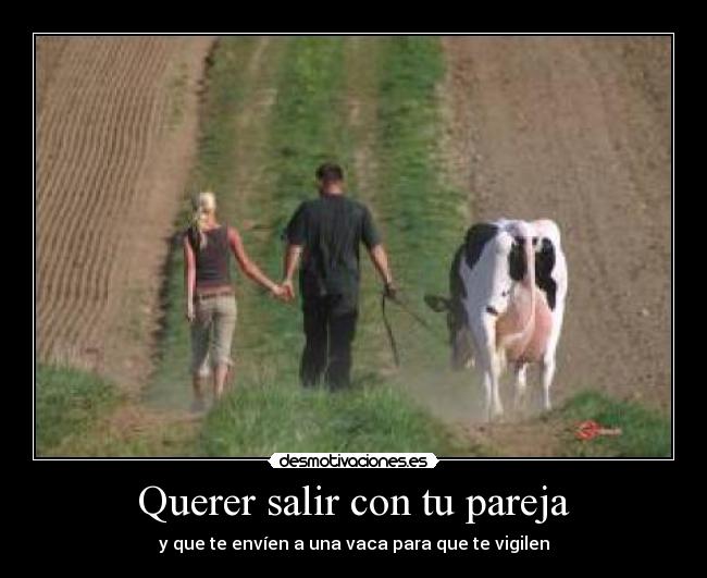 Querer salir con tu pareja - y que te envíen a una vaca para que te vigilen