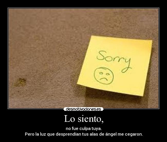 Lo siento, - no fue culpa tuya.
Pero la luz que desprendían tus alas de ángel me cegaron.
