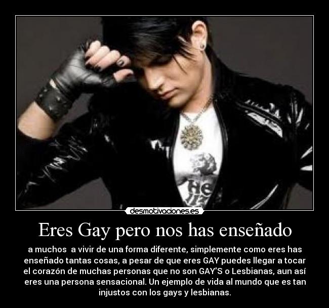 Eres Gay pero nos has enseñado -