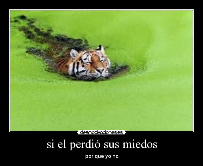 si el perdió sus miedos - 