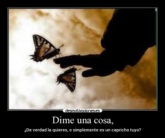 Dime una cosa, - ¿De verdad la quieres, o simplemente es un capricho tuyo?