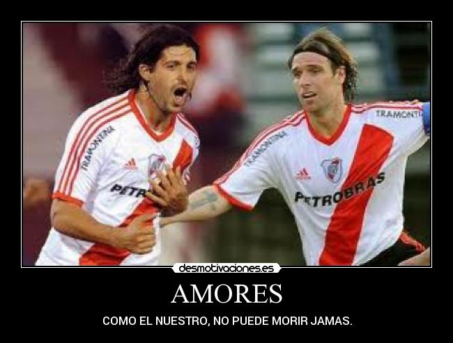 AMORES - 