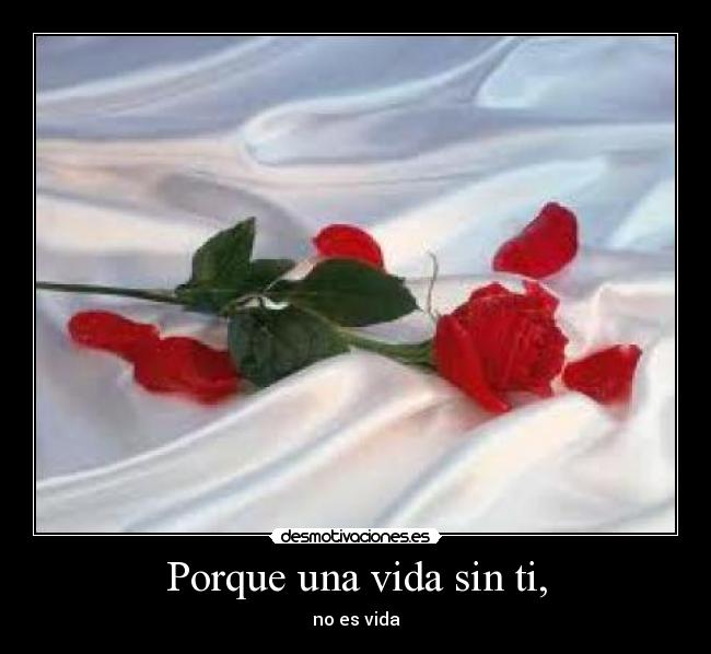 carteles vida amor desmotivaciones