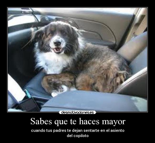 Sabes que te haces mayor -