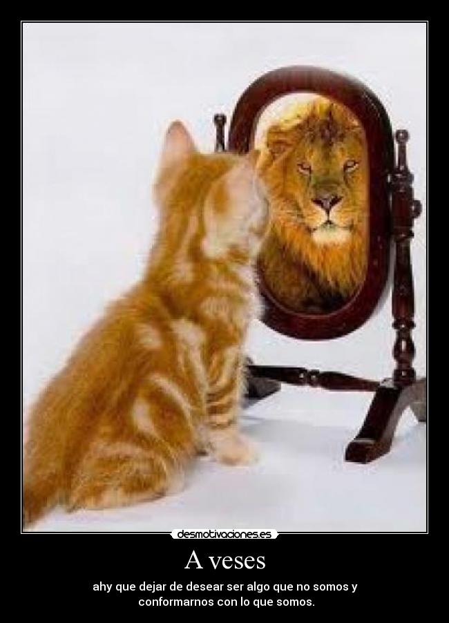 A veses - ahy que dejar de desear ser algo que no somos y
conformarnos con lo que somos.