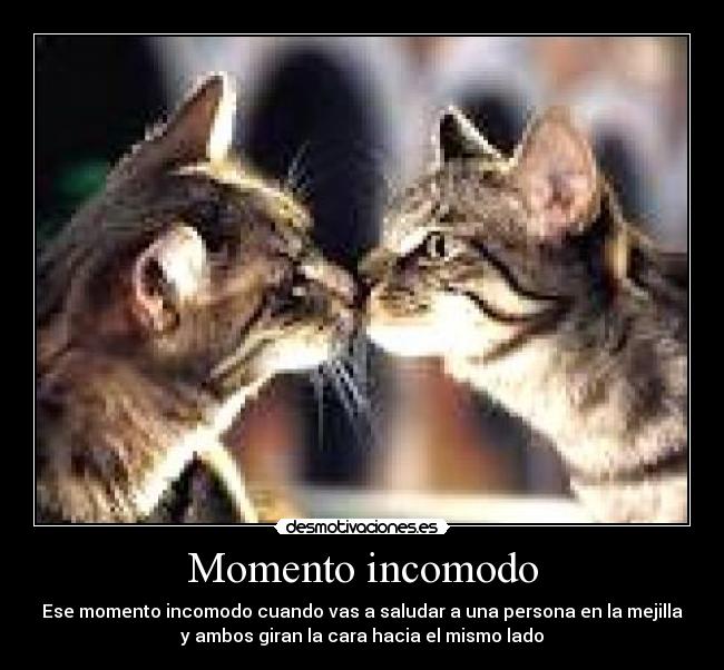 Momento incomodo - 