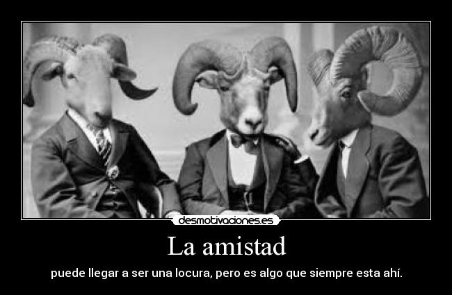 La amistad - 