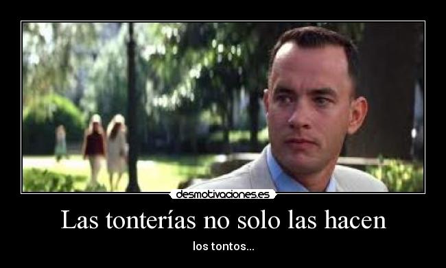 Las tonterías no solo las hacen - los tontos...