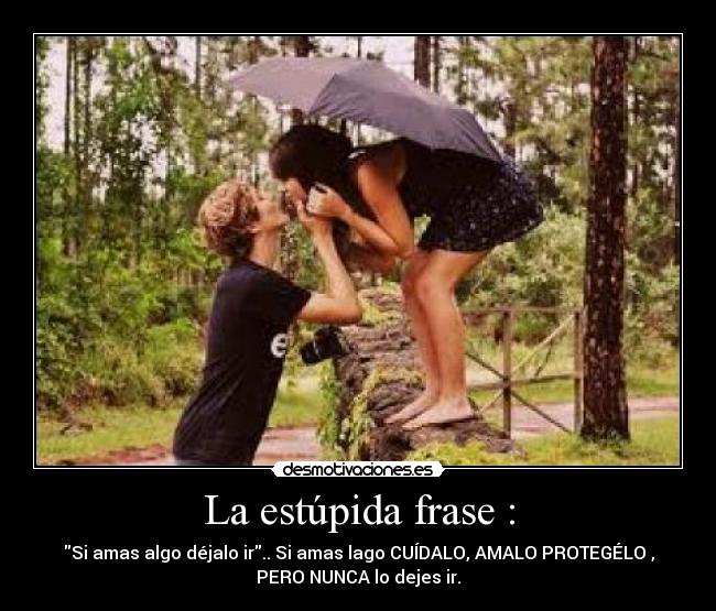La estúpida frase : -